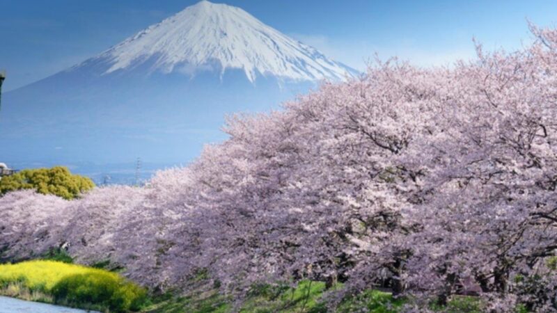 静岡市内でおすすめの大人向け英会話スクール5選