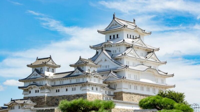 姫路エリアで質が高い大手英会話スクールおすすめ4選