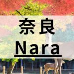 奈良の英会話スクールおすすめ11選｜大人・子供向けに紹介