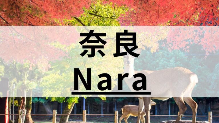 奈良の英会話教室おすすめ13選｜料金が安い・大人・子供向けなど目的別に比較