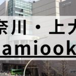 上大岡周辺の英会話スクールおすすめ10選｜大人・子供向けで紹介