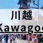 川越周辺の英会話スクールおすすめ8選｜レッスンの質やコスパで厳選