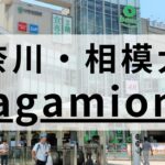 相模大野周辺の本当におすすめできる英会話スクール10選【厳選】