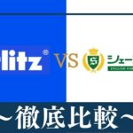 【違い5つ】ベルリッツ(Berlitz)とシェーン英会話はどっちがおすすめ？比較