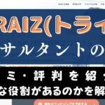 TORAIZ(トライズ)の日本人コンサルタントの質は？採用条件からレベルを考察