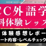 【体験談】ECC外語学院の無料体験レッスンの感想｜レベルチェックテストの内容も公開