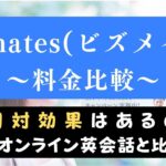 Bizmates(ビズメイツ)の料金は高い？他社と費用比較してコスパを検証