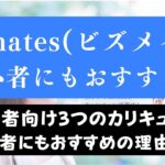 Bizmates(ビズメイツ)は初心者には難しい？初級者向けカリキュラムも紹介