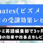 Bizmates(ビズメイツ)は効果ある？3ヶ月続けた結果をレビュー