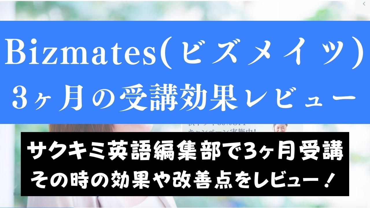 Bizmates(ビズメイツ)は効果ある？3ヶ月続けた結果をレビュー