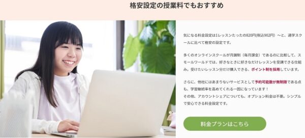 ポイント制の料金プランを採用